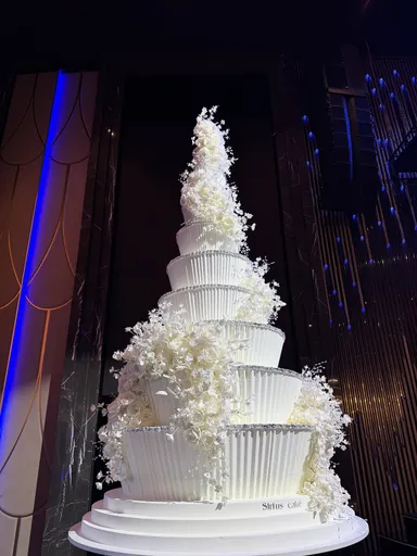 Sirius Cake