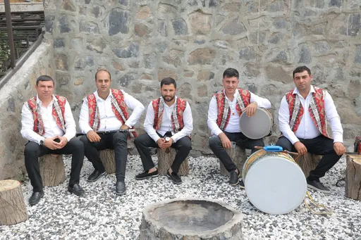 Vedi Band