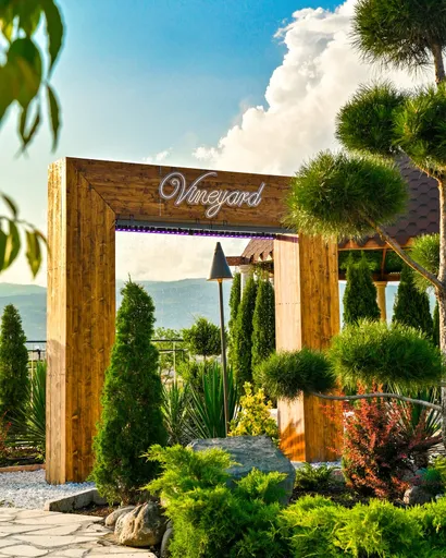 Vineyard