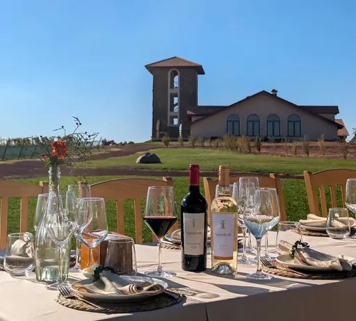 Van Ardi Winery