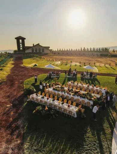 Van Ardi Winery